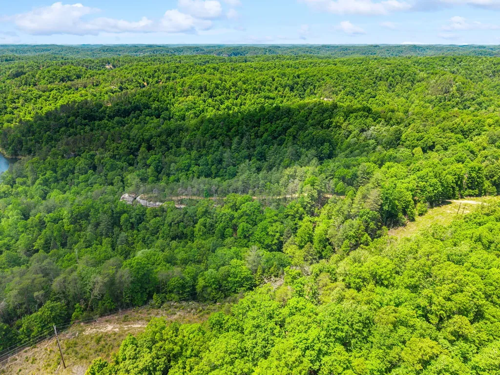 Lot 256 Cedar Bluff Street Zoe KY 41397