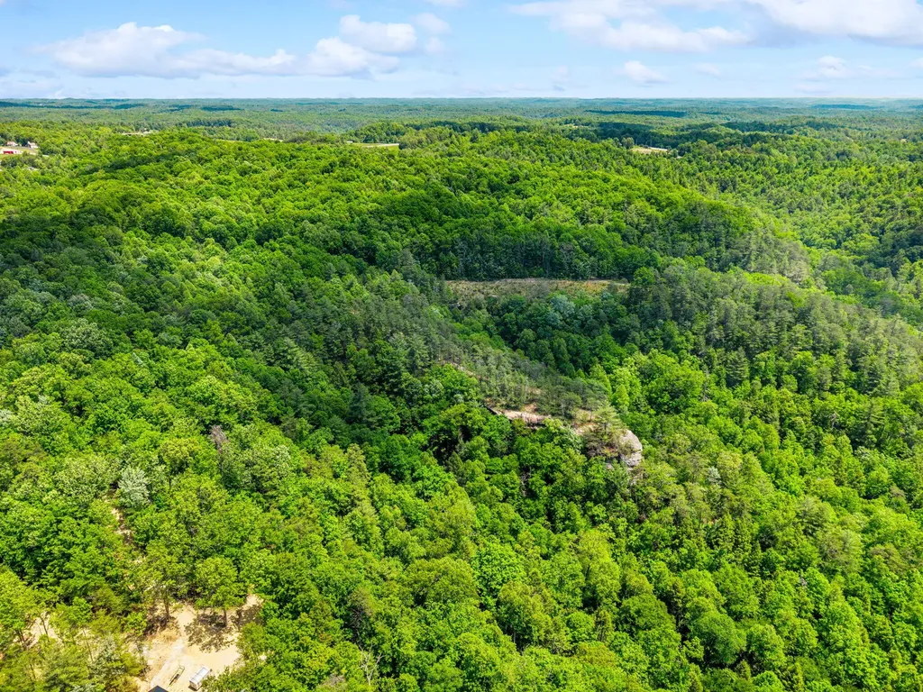Lot 256 Cedar Bluff Street Zoe KY 41397