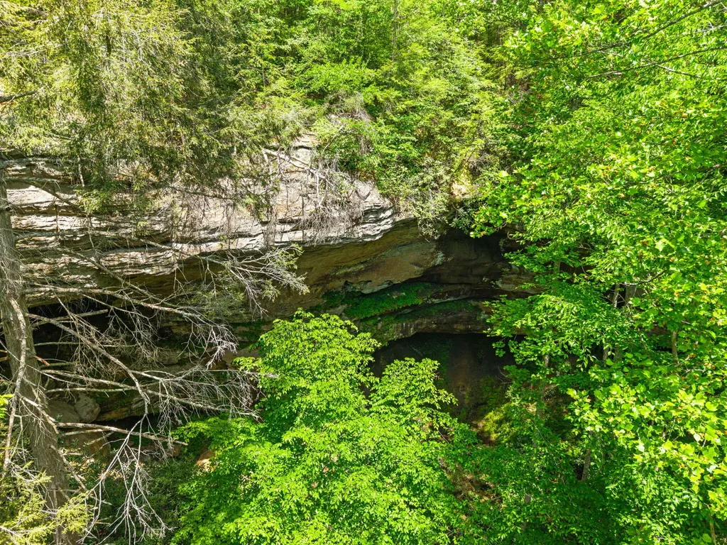Lot 256 Cedar Bluff Street Zoe KY 41397