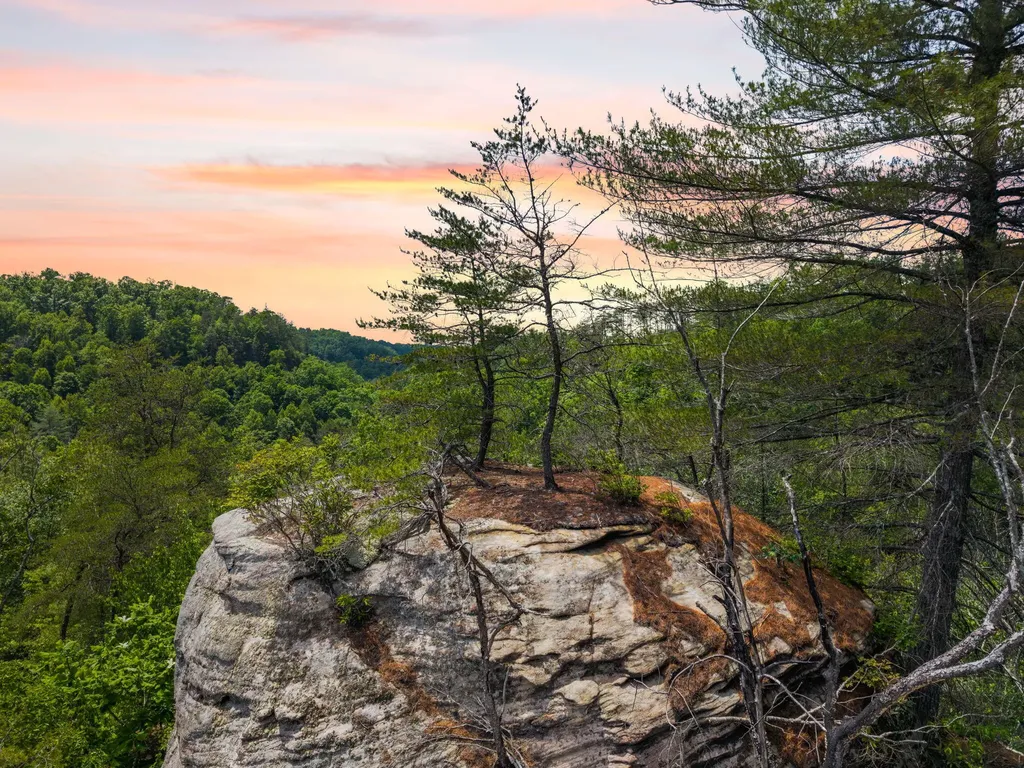 Lot 256 Cedar Bluff Street Zoe KY 41397