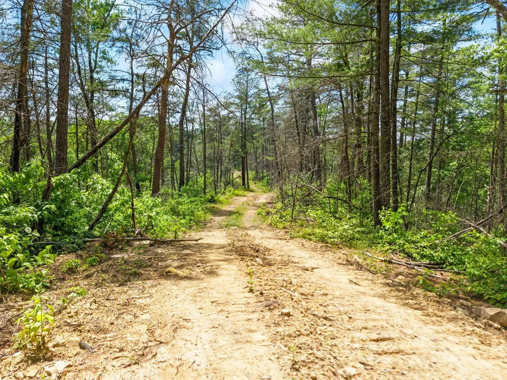 Lot 256 Cedar Bluff Street Zoe KY 41397