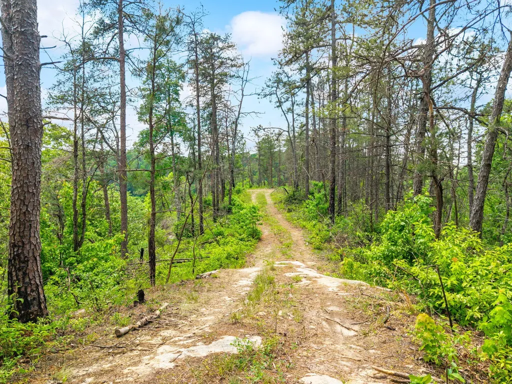 Lot 256 Cedar Bluff Street Zoe KY 41397