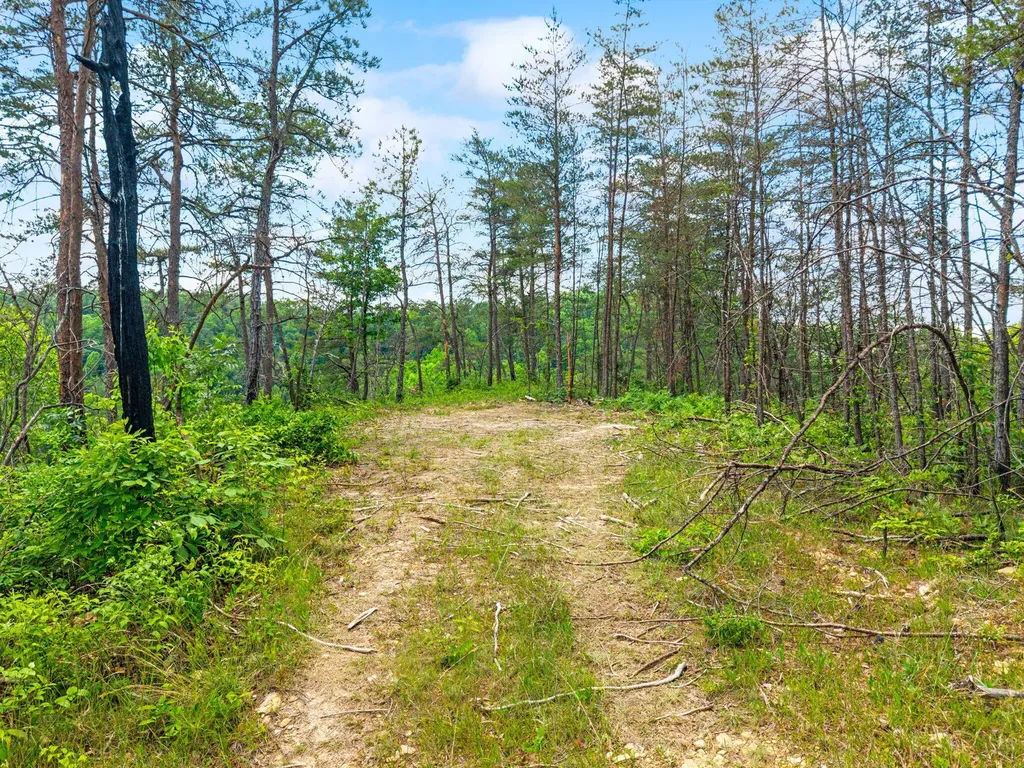 Lot 256 Cedar Bluff Street Zoe KY 41397