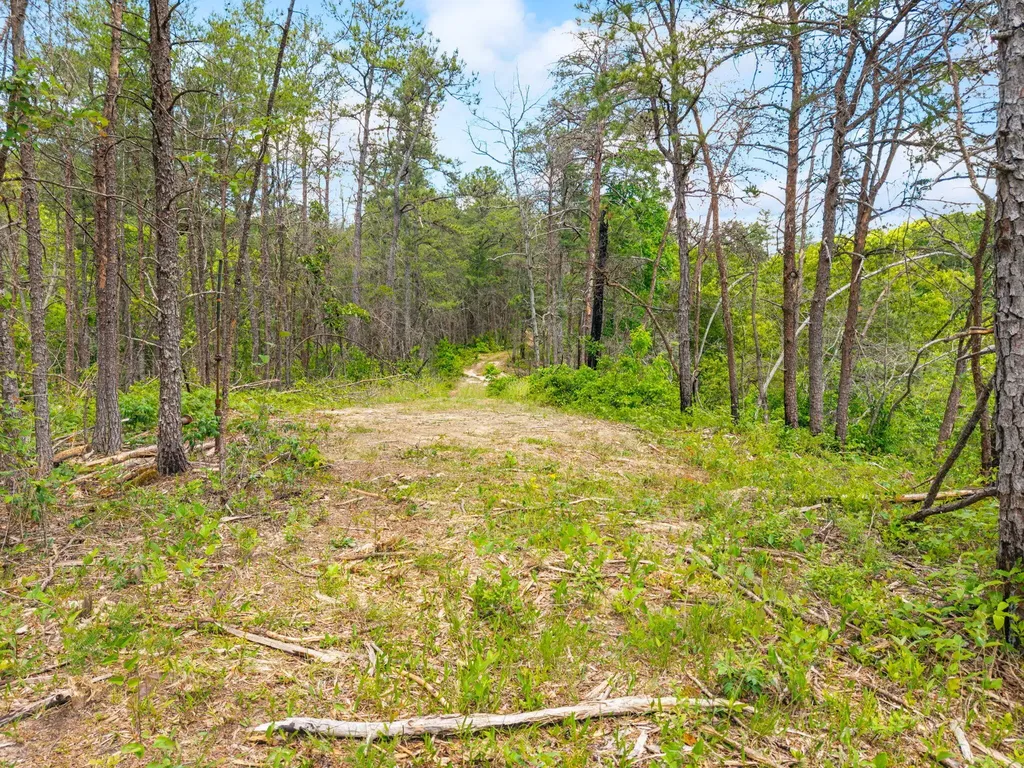 Lot 256 Cedar Bluff Street Zoe KY 41397