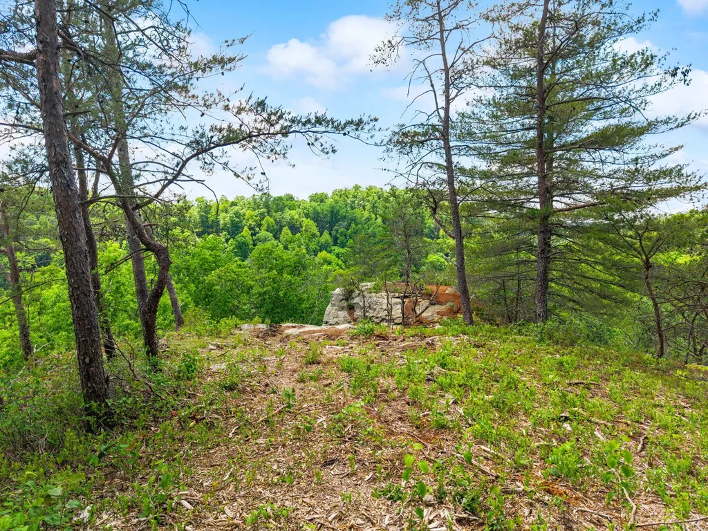 Lot 256 Cedar Bluff Street Zoe KY 41397