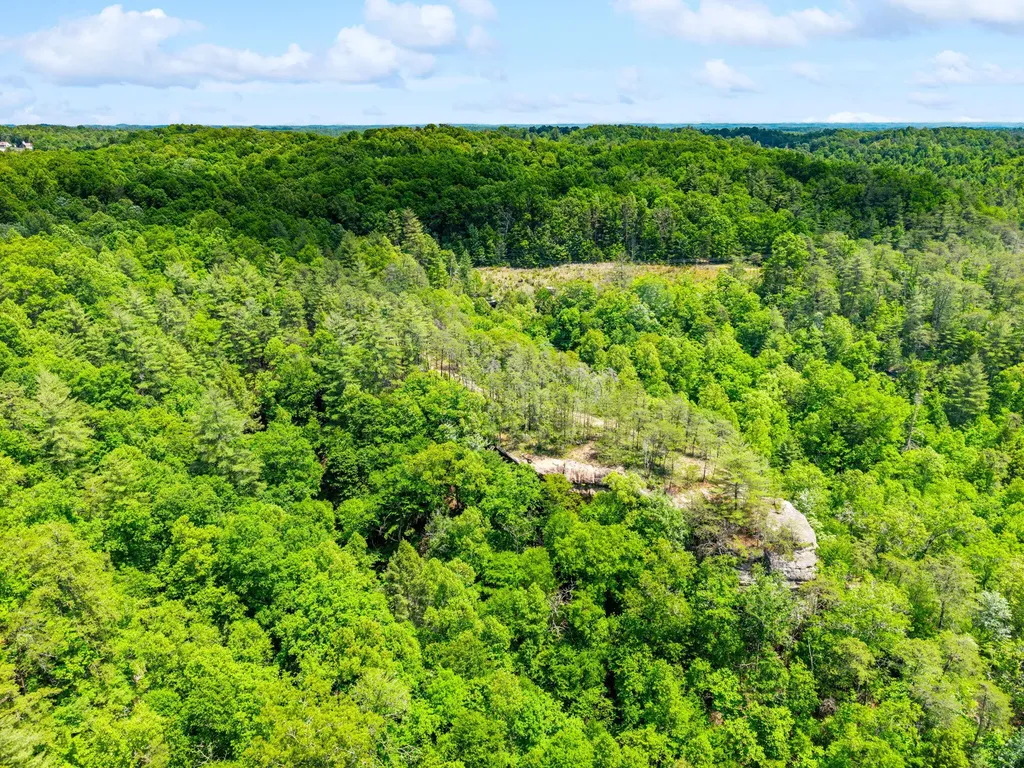 Lot 256 Cedar Bluff Street Zoe KY 41397