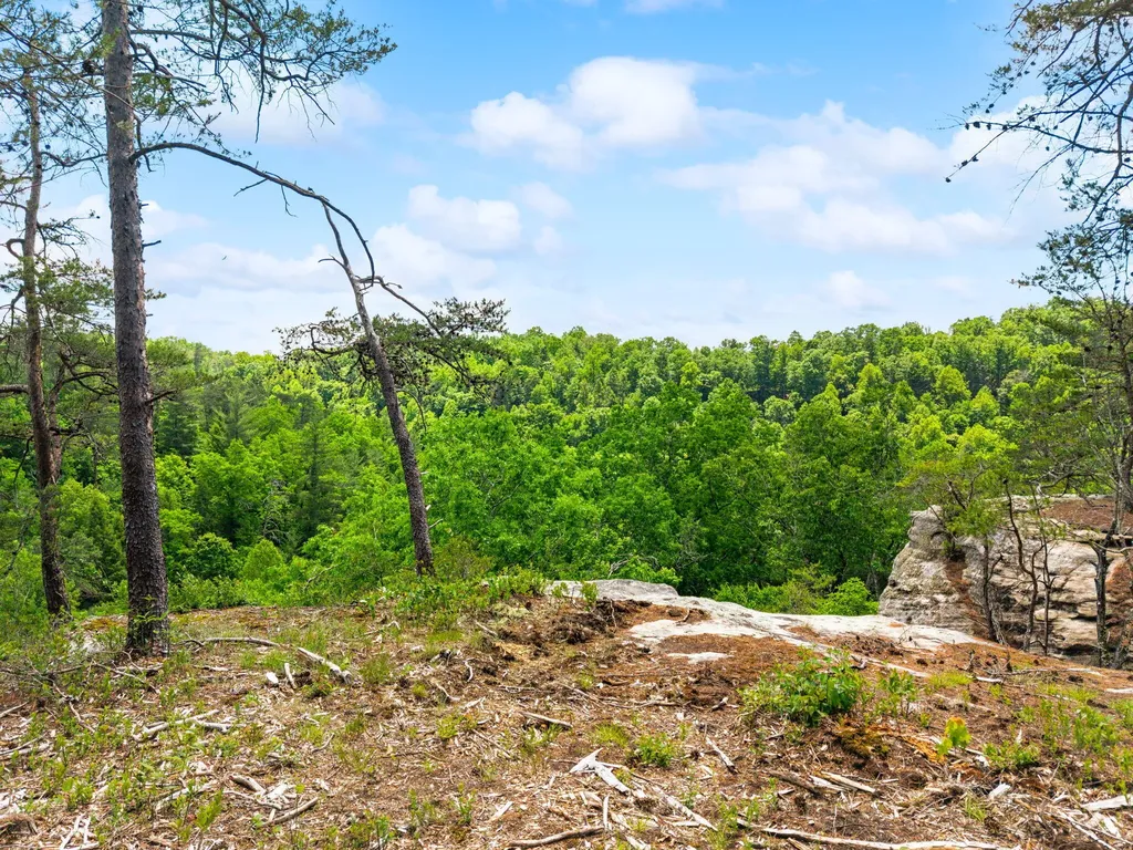 Lot 256 Cedar Bluff Street Zoe KY 41397