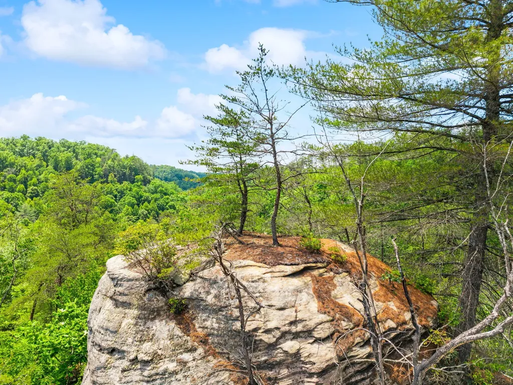Lot 256 Cedar Bluff Street Zoe KY 41397