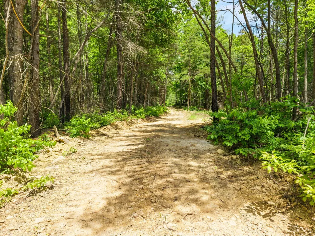 Lot 256 Cedar Bluff Street Zoe KY 41397
