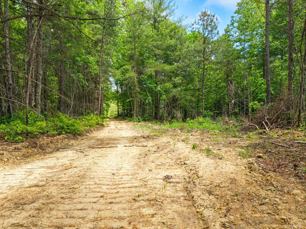 Lot 256 Cedar Bluff Street Zoe KY 41397