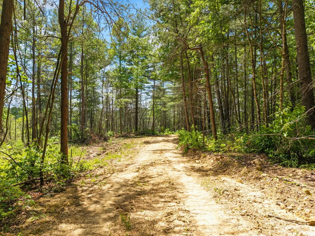 Lot 256 Cedar Bluff Street Zoe KY 41397