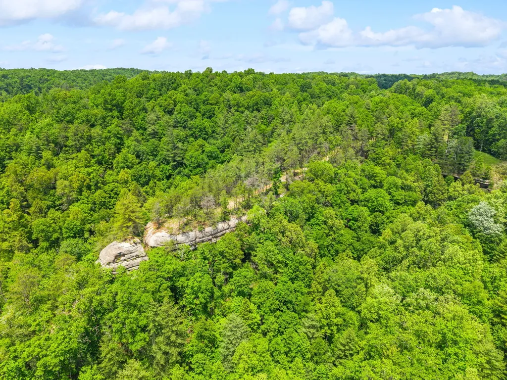 Lot 256 Cedar Bluff Street Zoe KY 41397