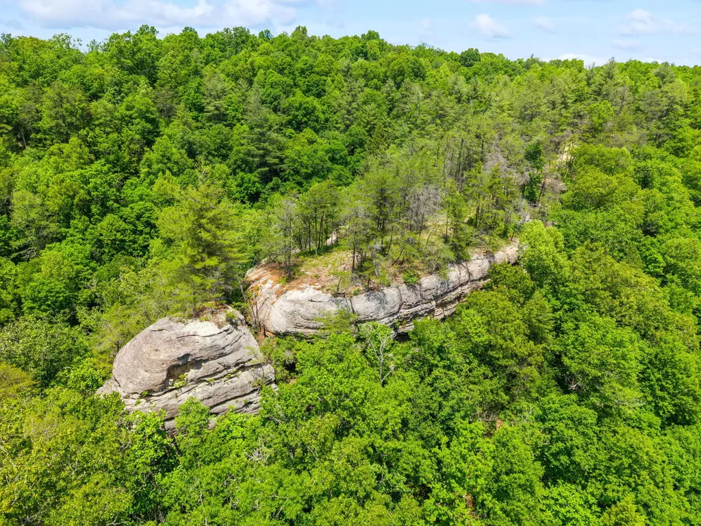 Lot 256 Cedar Bluff Street Zoe KY 41397