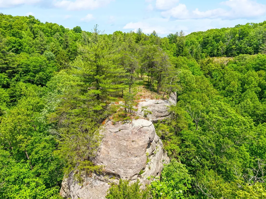 Lot 256 Cedar Bluff Street Zoe KY 41397