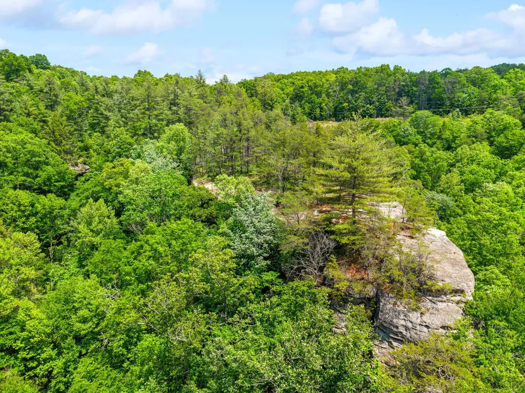 Lot 256 Cedar Bluff Street Zoe KY 41397