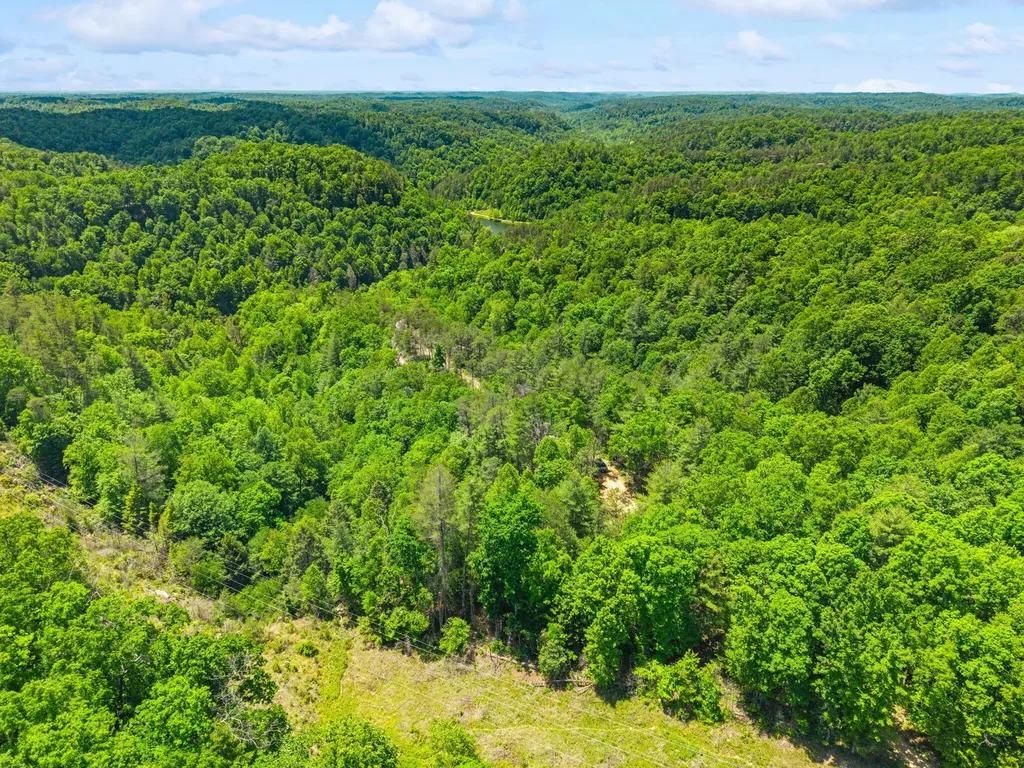Lot 256 Cedar Bluff Street Zoe KY 41397