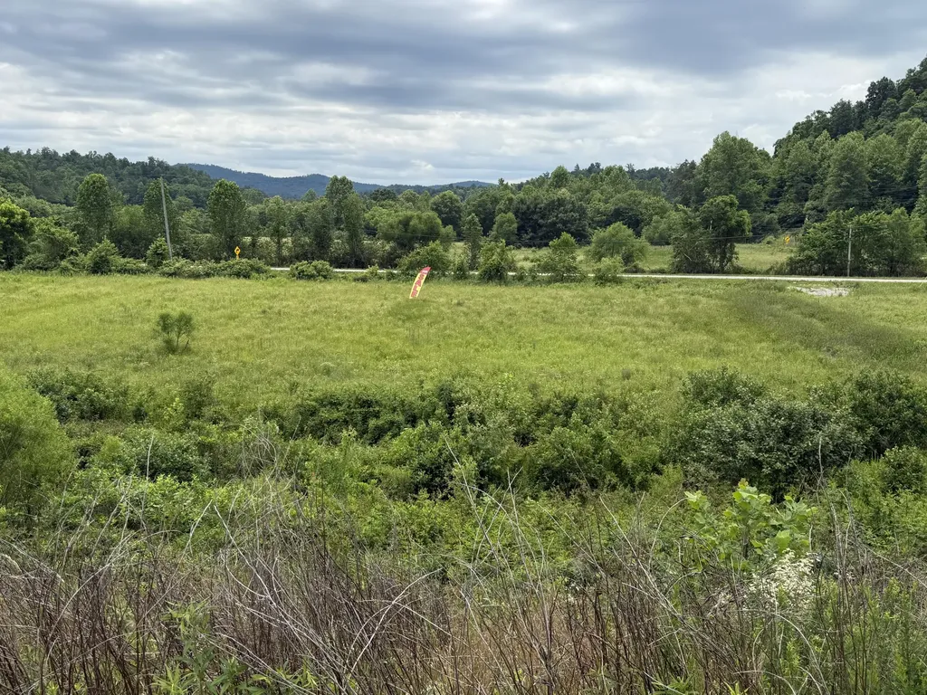 31 Hayes Creek Road Pine Knot KY 42635