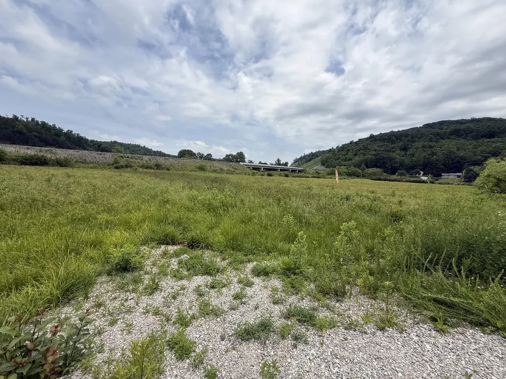 31 Hayes Creek Road Pine Knot KY 42635