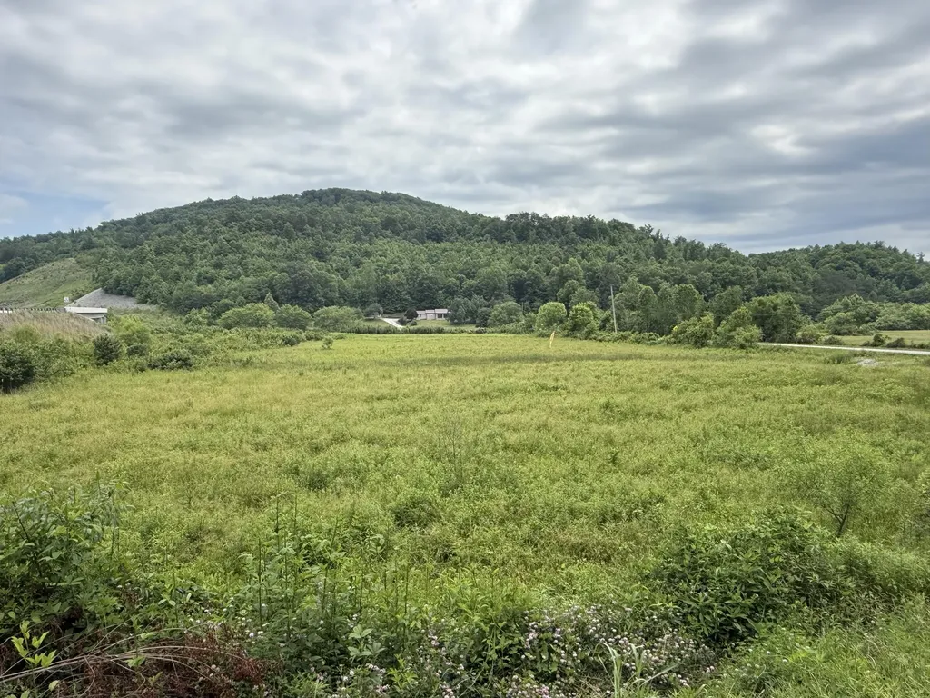 31 Hayes Creek Road Pine Knot KY 42635