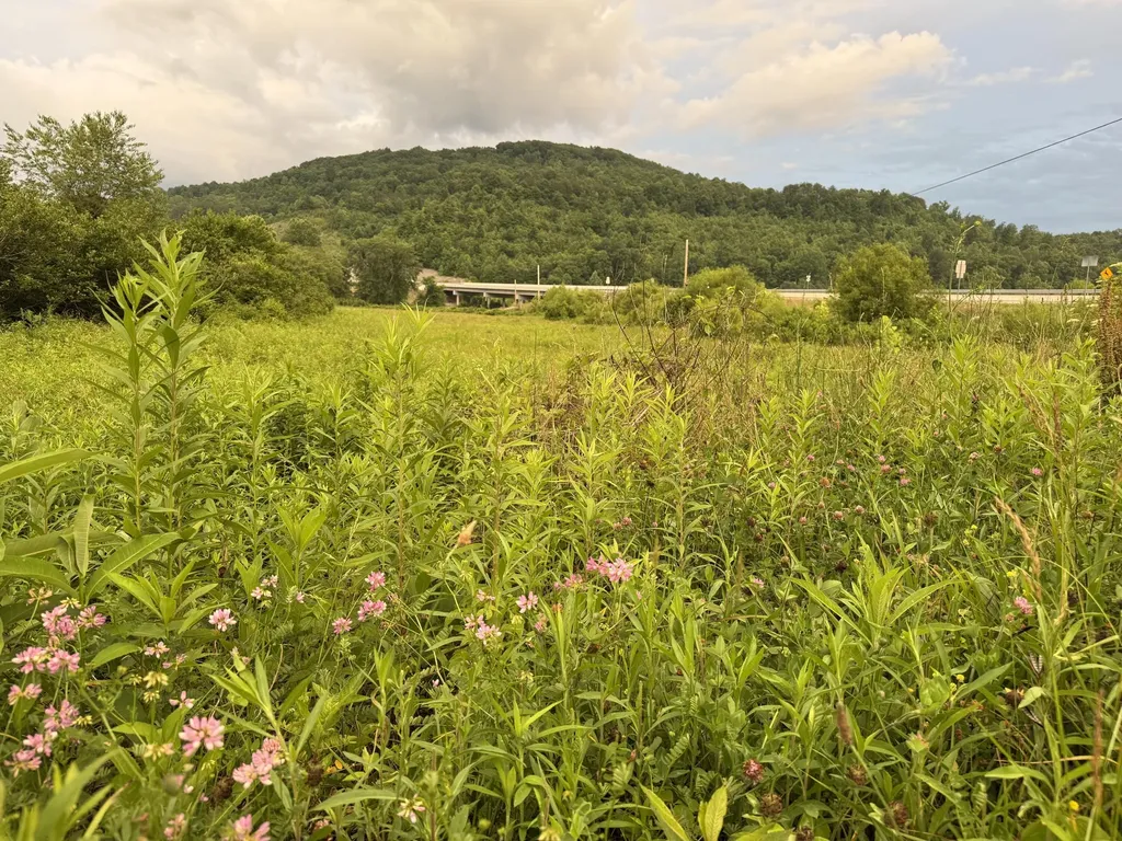 3988 Kentucky 592 Pine Knot KY 42635