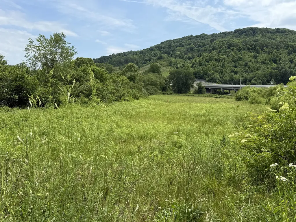 3988 Kentucky 592 Pine Knot KY 42635