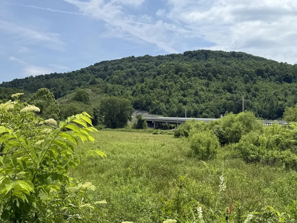 3988 Kentucky 592 Pine Knot KY 42635