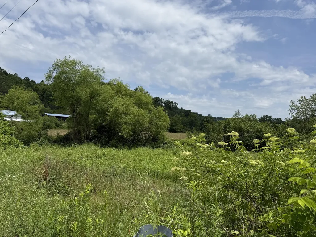 3988 Kentucky 592 Pine Knot KY 42635