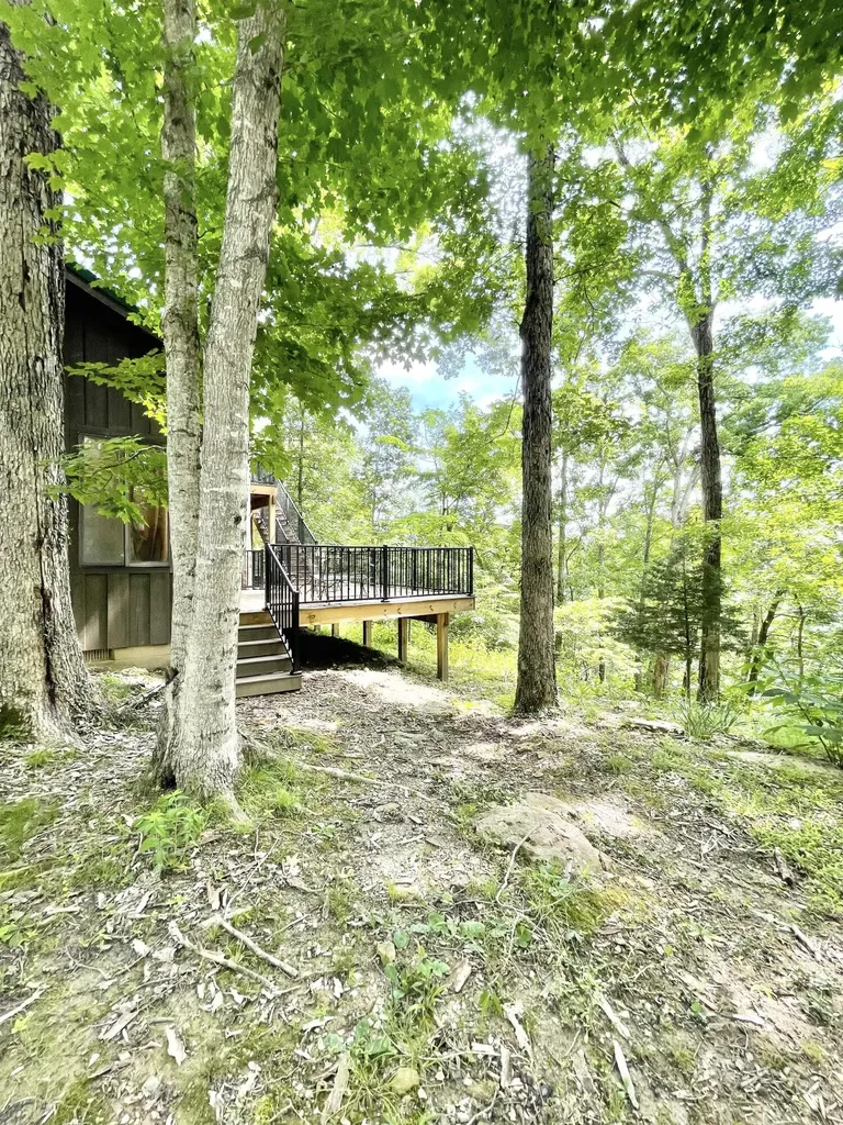 297 Oak Lane Salt Lick KY 40371