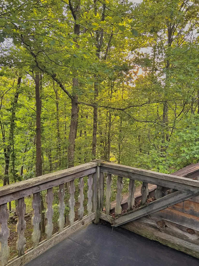 180 Greasy Creek Road West Liberty KY 41472