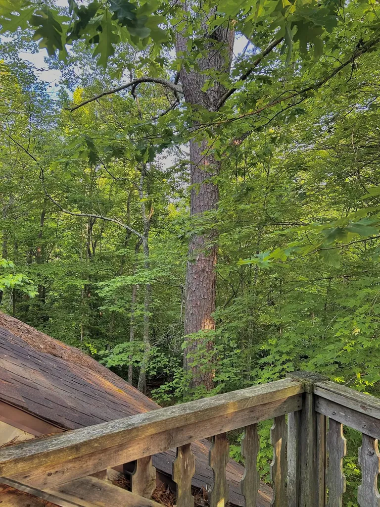 180 Greasy Creek Road West Liberty KY 41472