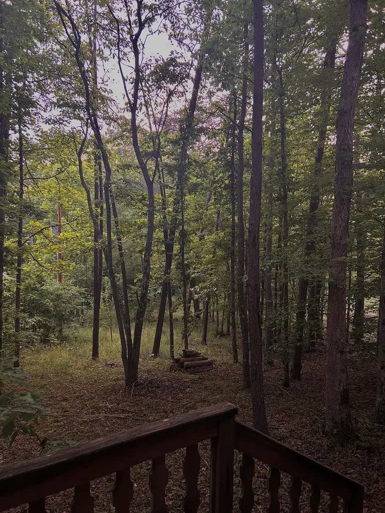 180 Greasy Creek Road West Liberty KY 41472