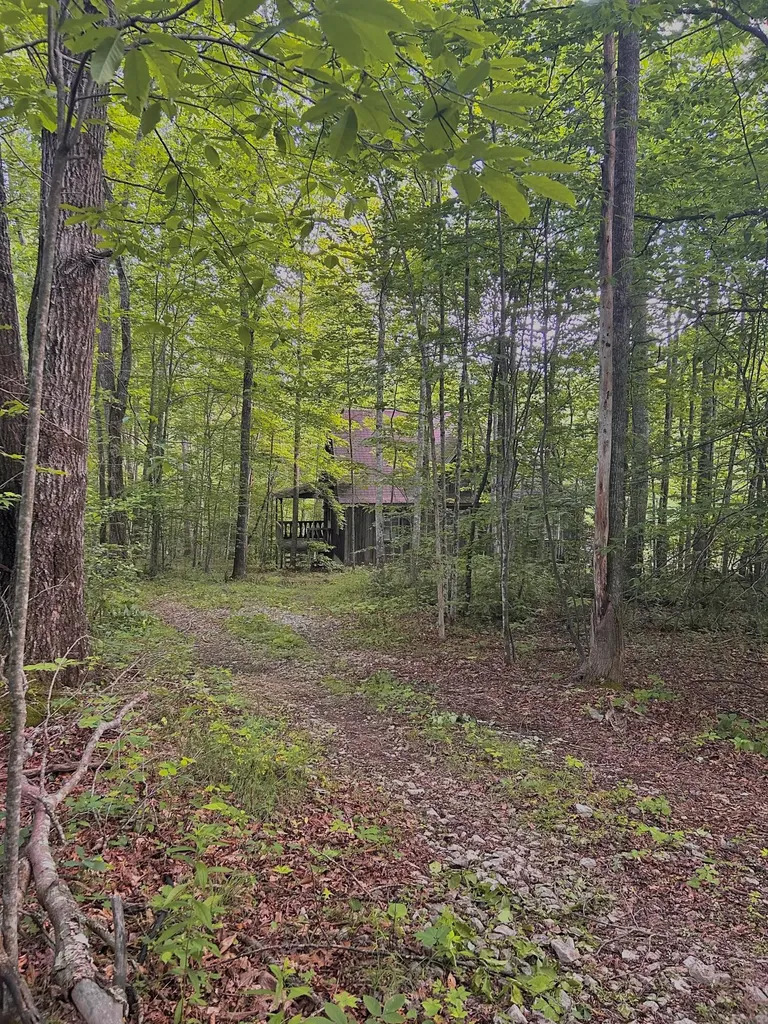 178 Greasy Creek Road West Liberty KY 41472