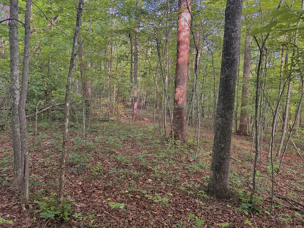 178 Greasy Creek Road West Liberty KY 41472