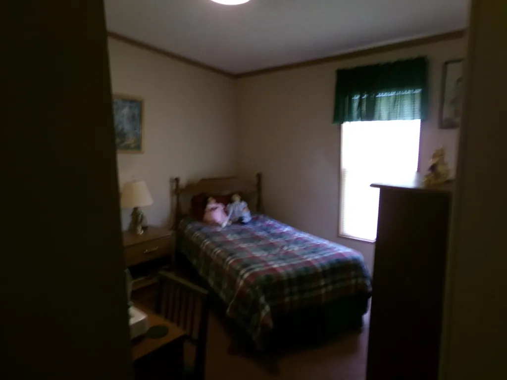 2773 Mud Lick Road Salt Lick KY 40371