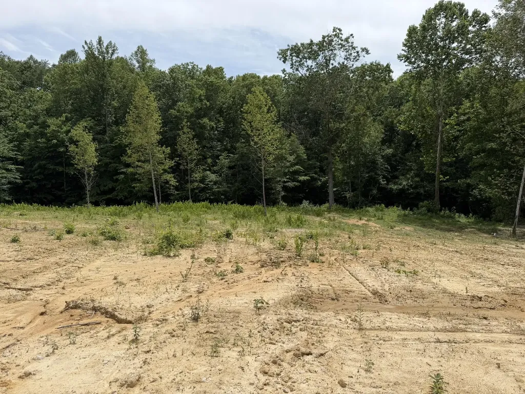 Lot 8 Kenway Drive Irvine KY 40336