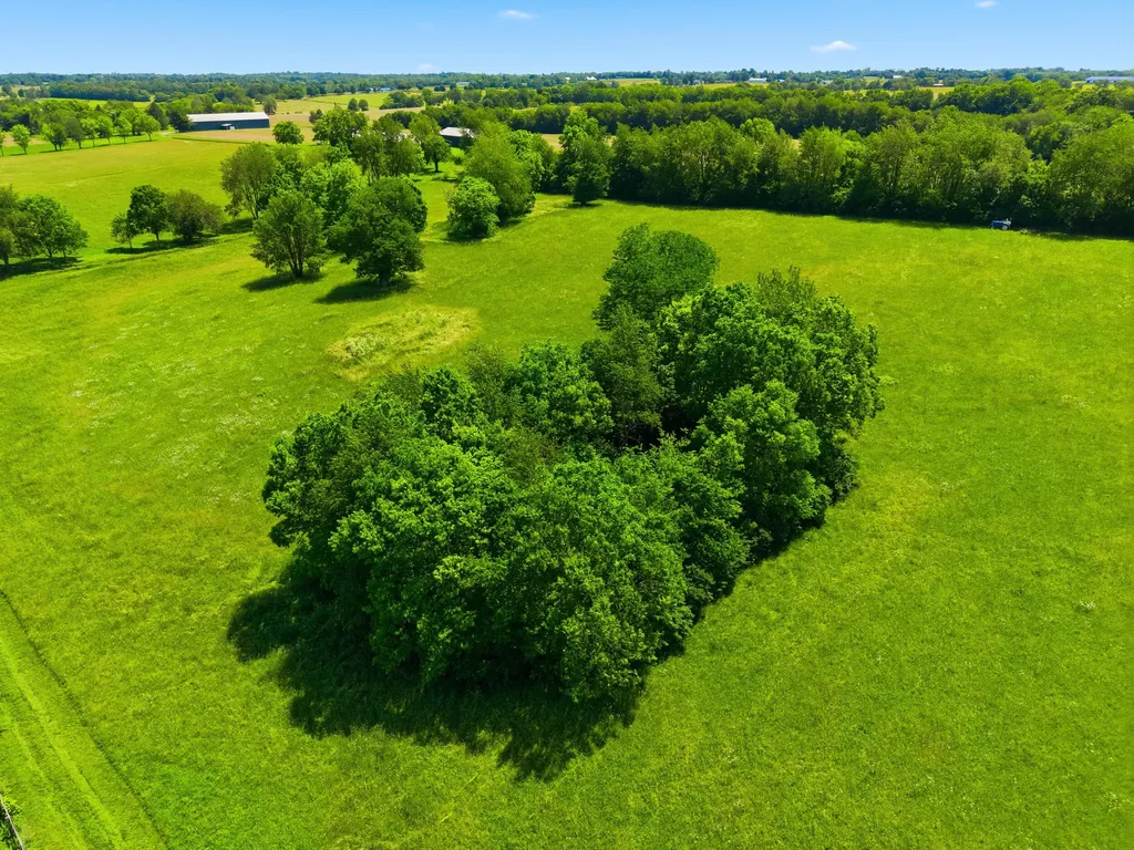 5650 Russell Cave Road Lexington KY 40511