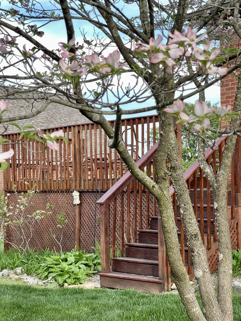 303 Stephen Road Frankfort KY 40601