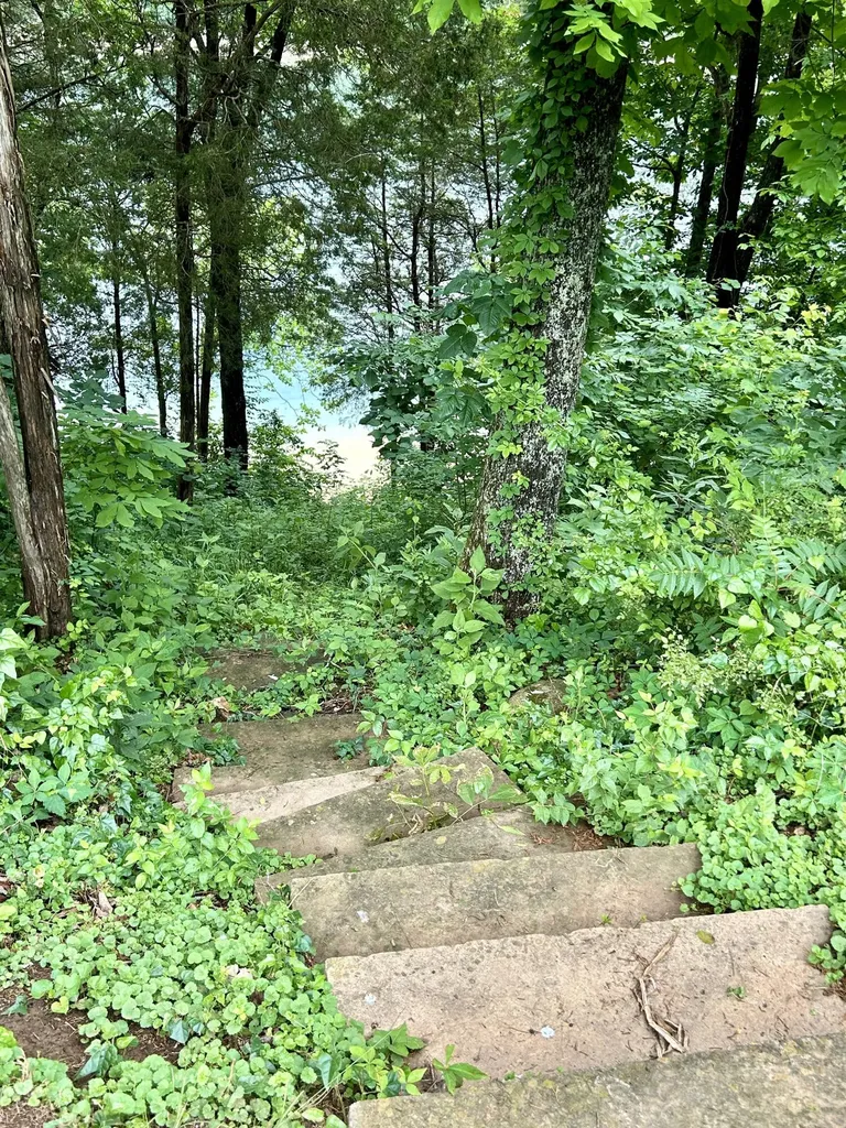 120 Woodson Cove Bronston KY 42518