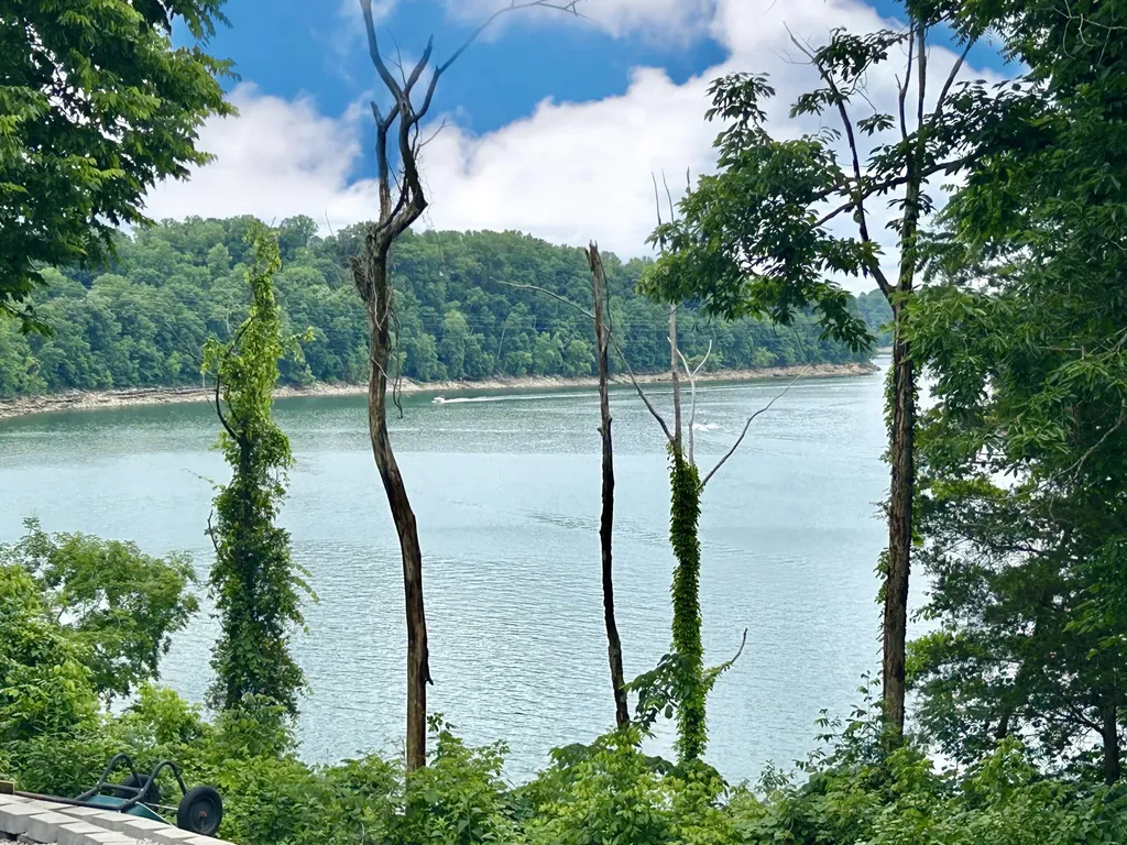 120 Woodson Cove Bronston KY 42518
