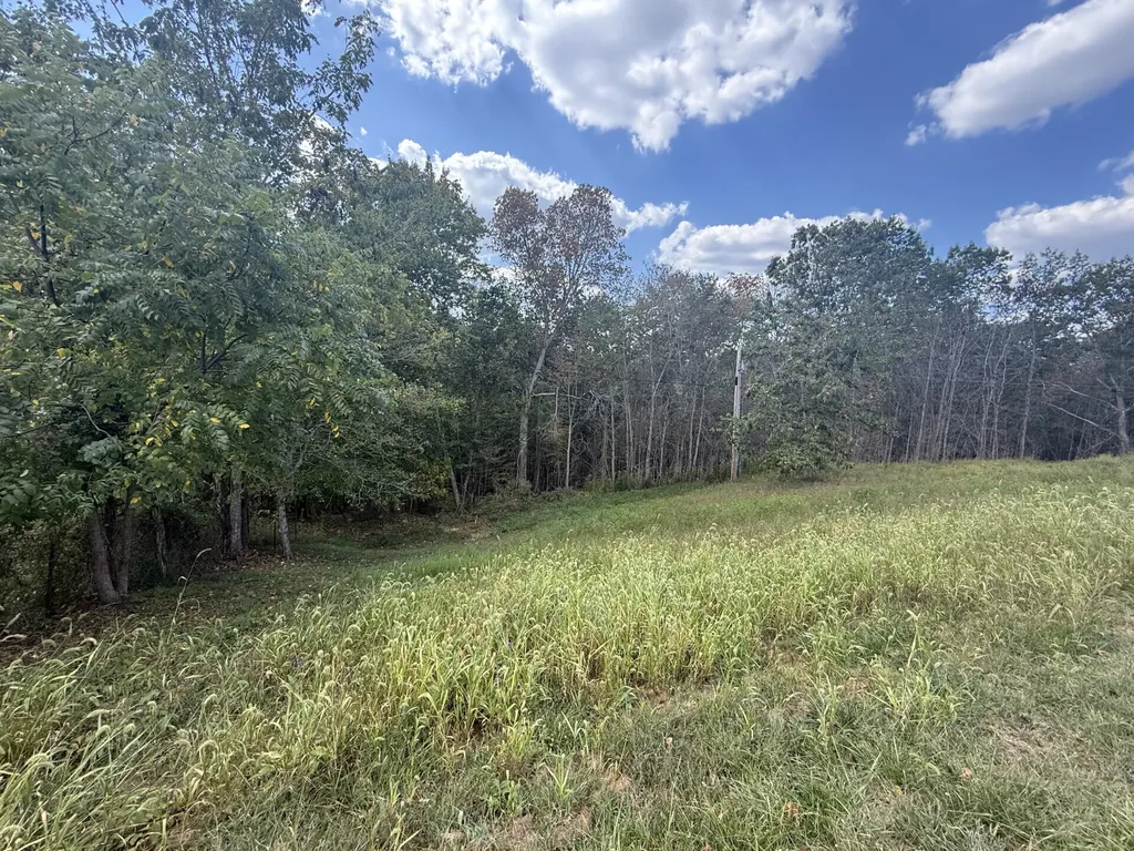 208 Strawberry Lane Olive Hill KY 41164