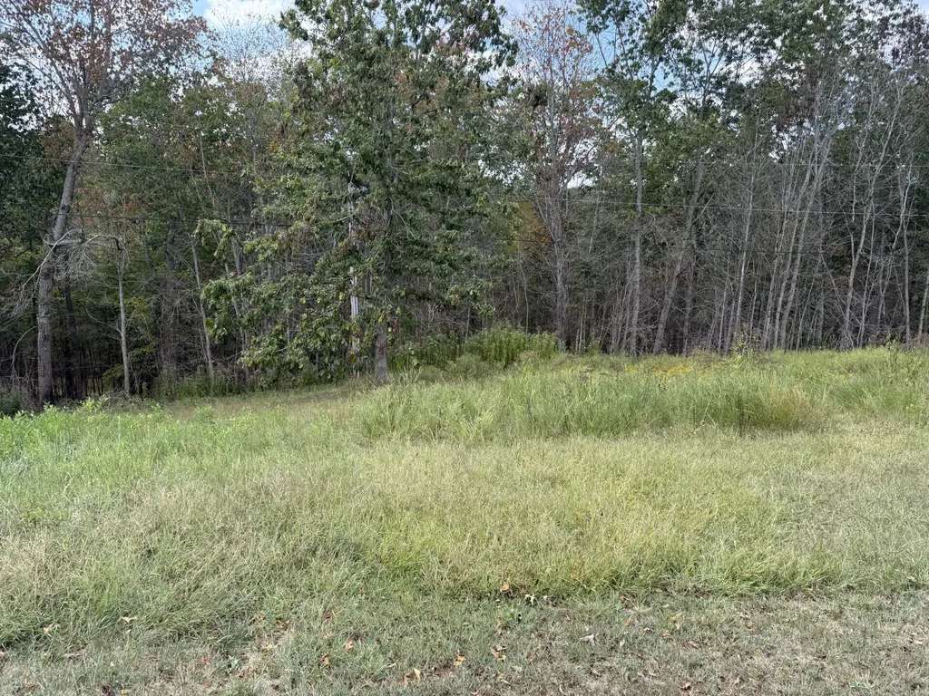 208 Strawberry Lane Olive Hill KY 41164
