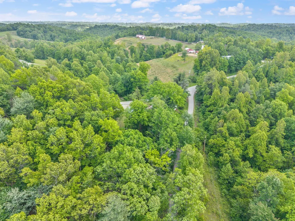 10591 State Highway 504 Olive Hill KY 41164