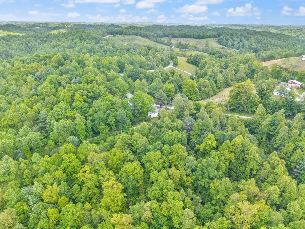 10591 State Highway 504 Olive Hill KY 41164