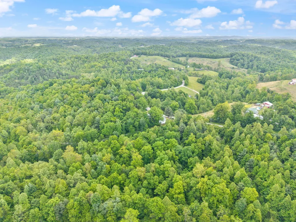 10591 State Highway 504 Olive Hill KY 41164