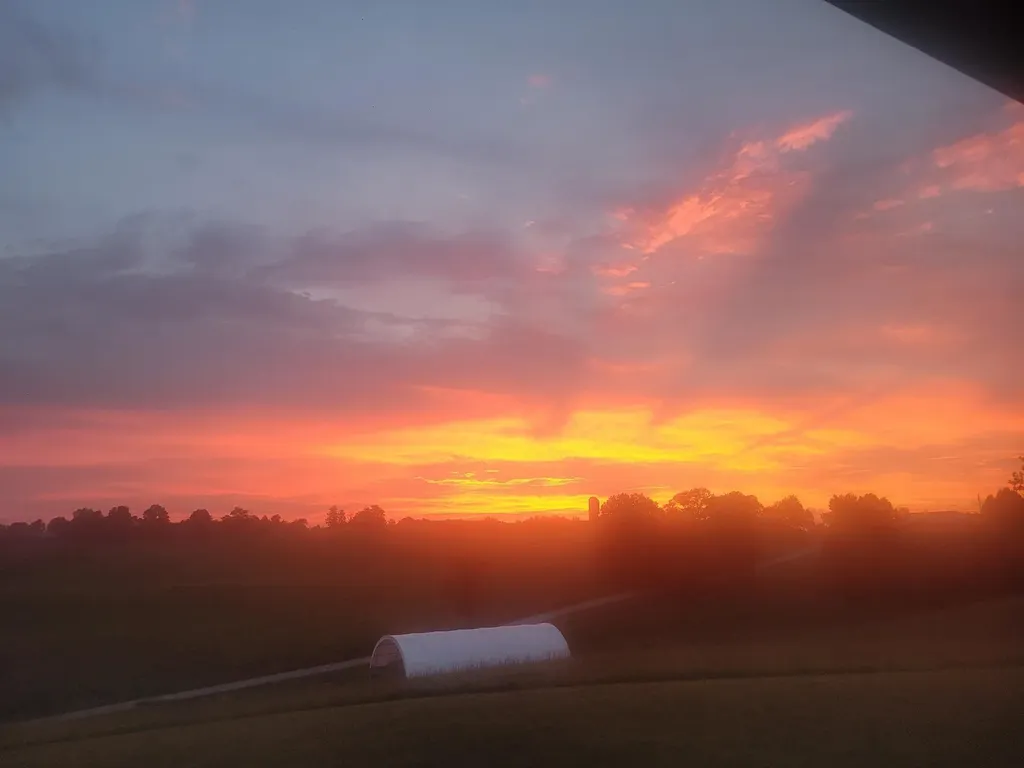486 Old State Road Wellington KY 40387