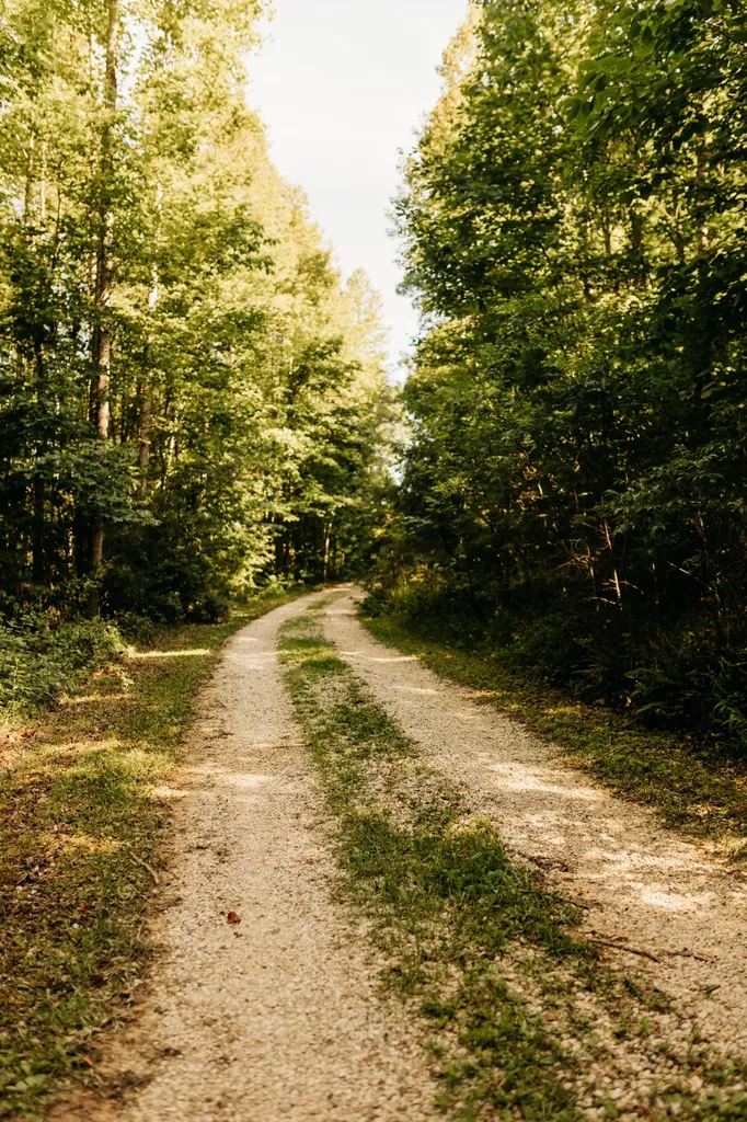 124 Ashley Ridge Road Wellington KY 40387