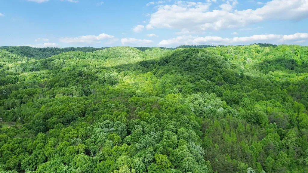 2074 Harris Creek Road Stanford KY 40484