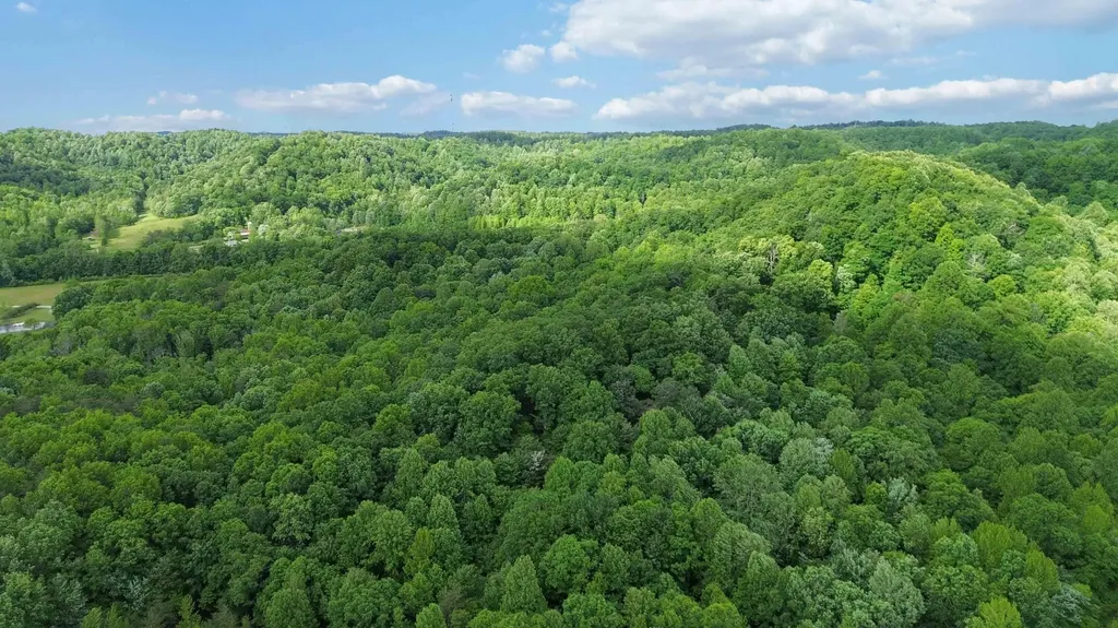 2074 Harris Creek Road Stanford KY 40484