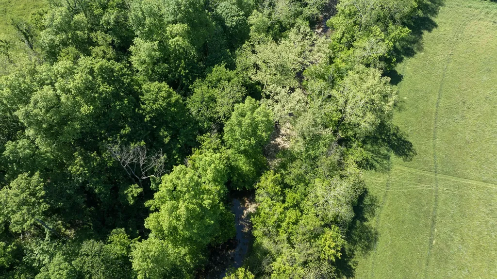 173 Brewer Way Lancaster KY 40444