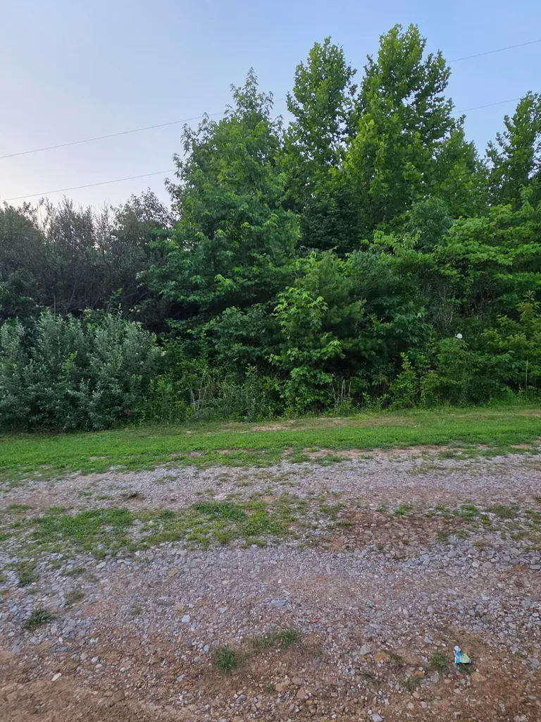 5425 S Key 233 Gray KY 40734